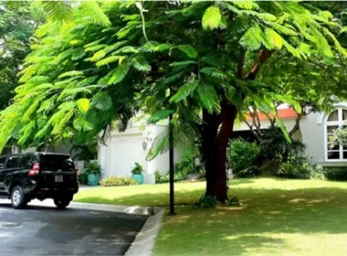 BÁN BIỆT THỰ TRONG KHU DẦU KHÍ QUẬN 9