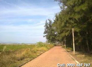 BÁN ĐẤT MẶT TIỀN BIỂN CẦN GIỜ