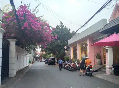 Bán Nhà Đường Tống Hữu Định Thảo Điền