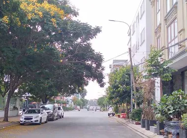 Bán Nhà Phường Bình An Thành Phố Thủ Đức
