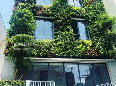 Bán Tòa Nhà Căn Hộ Dịch Vụ Quận Phú Nhuận Liền Kề Quận 3