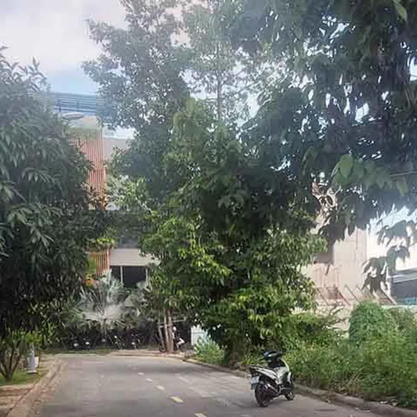 Bán đất biệt thự 319m2 đất dự án Huy Hoàng quận 2