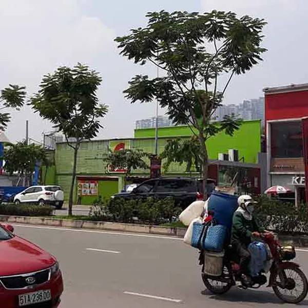 Cho Thuê Mặt Bằng Đường Trần Não Quận 2