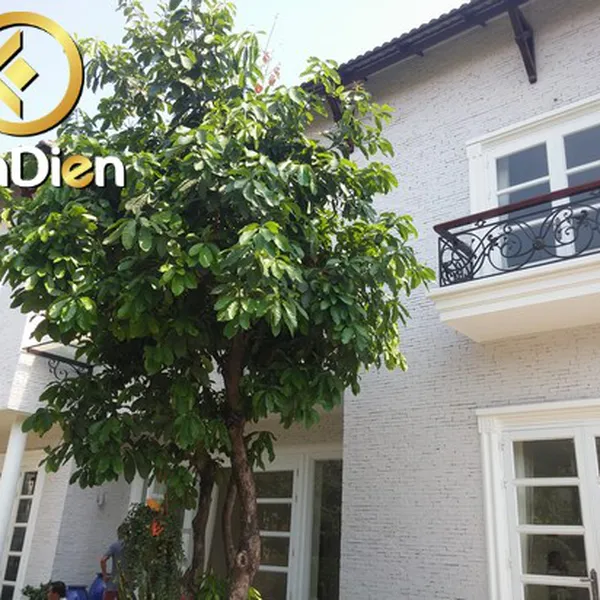 BÁN BIỆT THỰ THẢO ĐIỀN KHU VIETFAX GIÁ 8.5 TỶ
