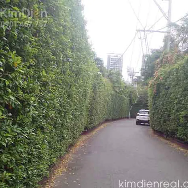 Bán Đất Trong Khu Biệt Thự Có Bảo Vệ Thảo Điền