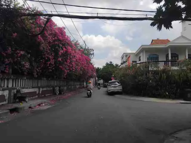 Bán biệt thự đường Đặng Hữu Phổ phường An Khánh