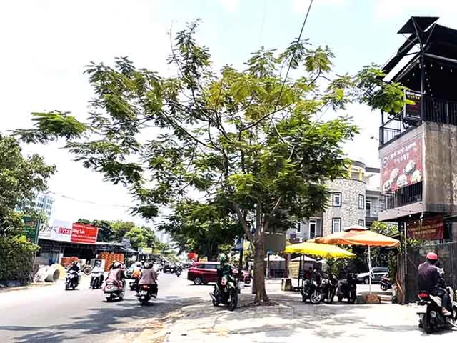 Bán Đất Mặt Tiền Đường Nguyễn Hoàng P. An Phú Quận 2