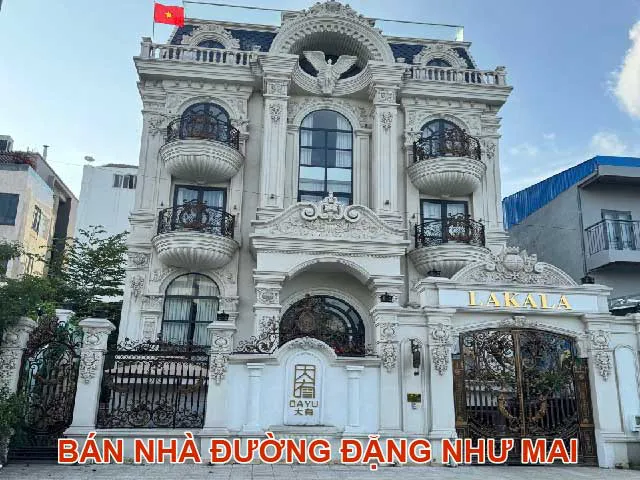 Bán nhà đường Đặng Như Mai Quận 2