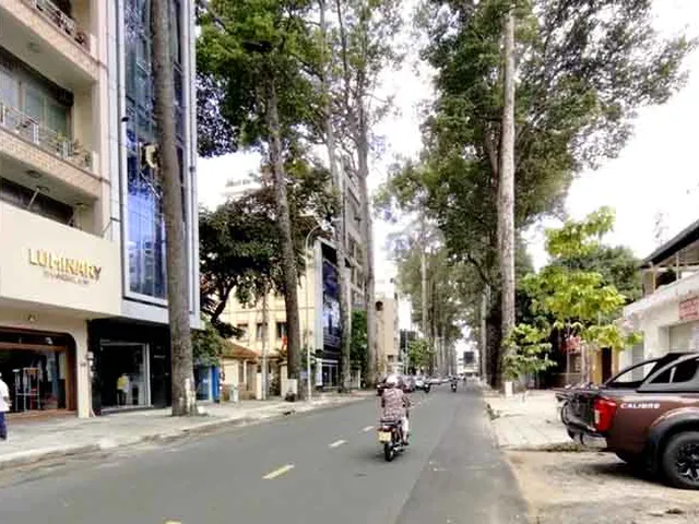 Bán Nhà Đường Sương Nguyệt Anh