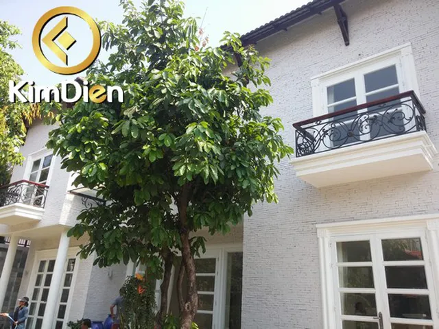 BÁN BIỆT THỰ THẢO ĐIỀN KHU VIETFAX GIÁ 8.5 TỶ