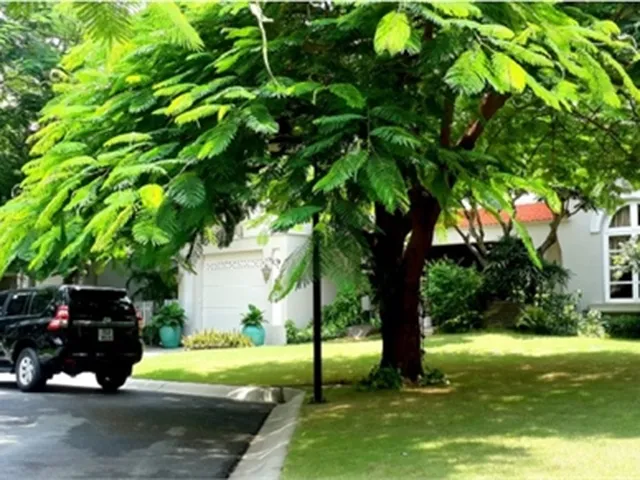 BÁN BIỆT THỰ TRONG KHU DẦU KHÍ QUẬN 9