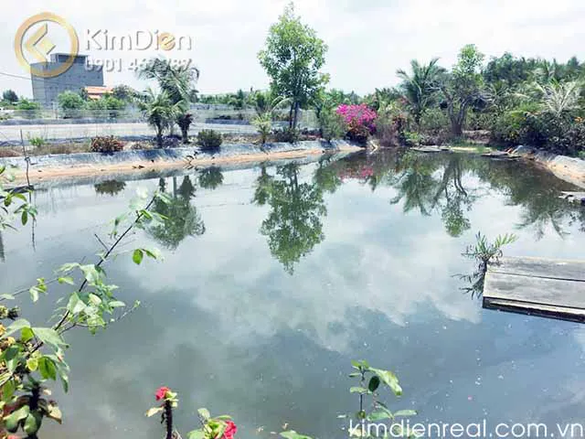 Bán Đất Bình Khánh Cần Giờ 1.5ha Giá Rẻ