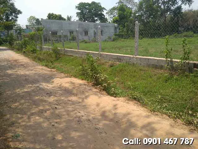 BÁN ĐẤT CẦN GIỜ