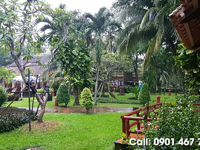 Bán Đất Cần Giờ Diện Tích 2,6ha, Đường Lý Nhơn