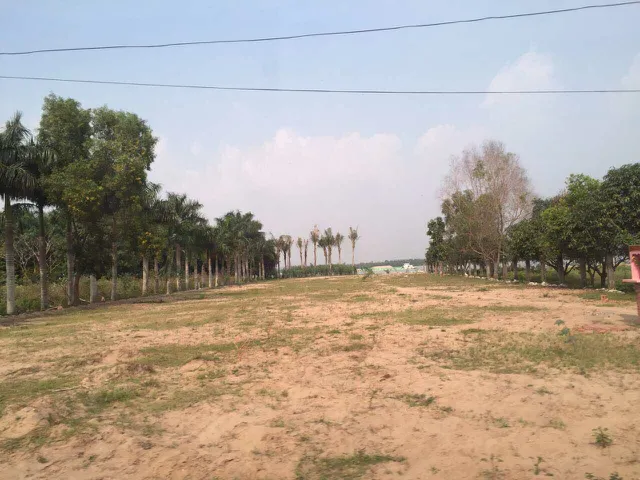 BÁN ĐẤT LONG PHƯỚC NHÀ VƯỜN VEN SÔNG ĐỒNG  NAI GIÁ RẺ