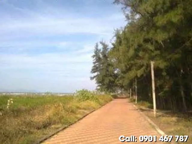 BÁN ĐẤT MẶT TIỀN BIỂN CẦN GIỜ