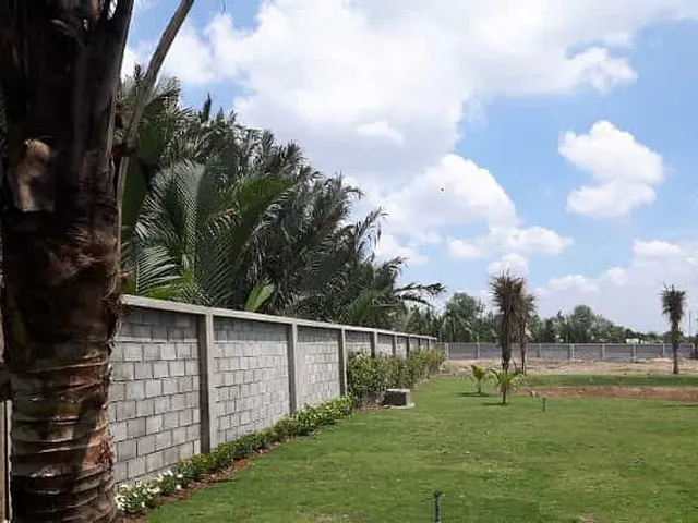 Bán Đất Vườn Đường Long Thuận phường Long Phước Quận 9. Giá 6,3 Triệu