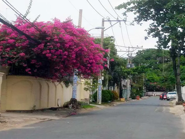 Bán Nhà Khu Thảo Điền Quận 2 Có Hợp Đồng Thuê