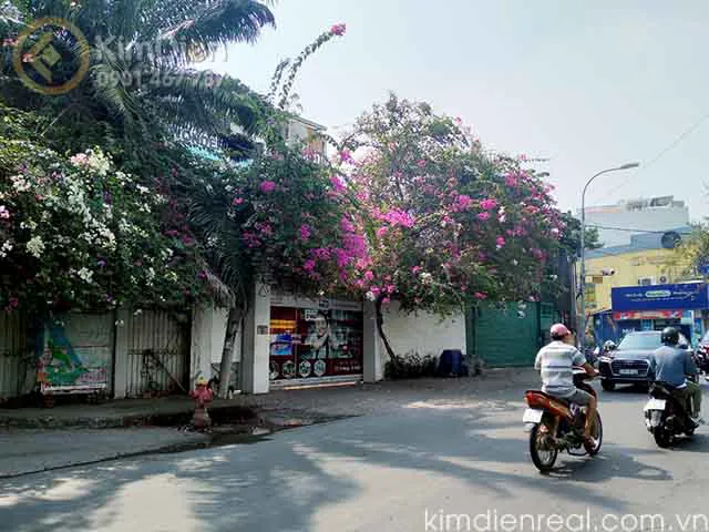 Cho Thuê Biệt Thự Đường Xuân Thủy Diện Tích 1000m2