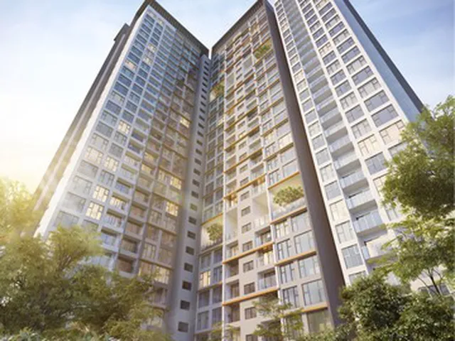 ELIZ EN VISTA NƠI THIÊN NHIÊN NGẬP TRÀN