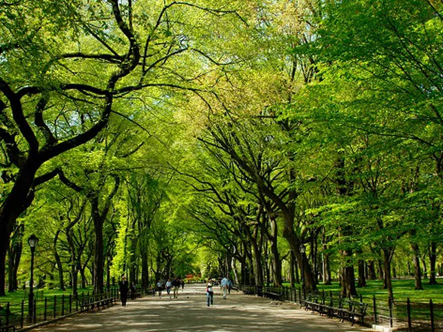TIỆN ÍCH VINHOMES CENTRAL PARK