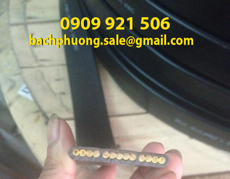 Cáp dẹp ray C cầu trục 4C x1.5mm Cáp dẹp ray C cầu trục 4C x1.5mm