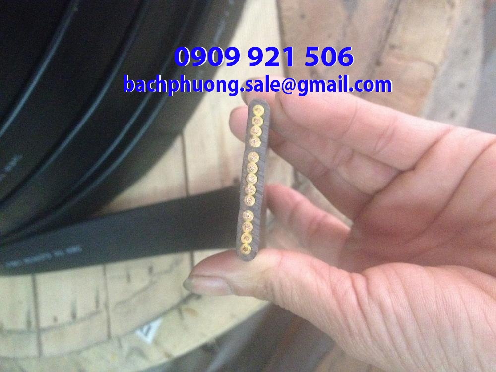 Cáp dẹt các loại cho ray C cầu trục  Cáp dẹt các loại cho ray C cầu trục