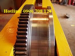 Bánh xe cầu trục D150, D220, D300, D350, D420, D500 Bánh xe cầu trục D150, D220, D300, D350, D420, D500