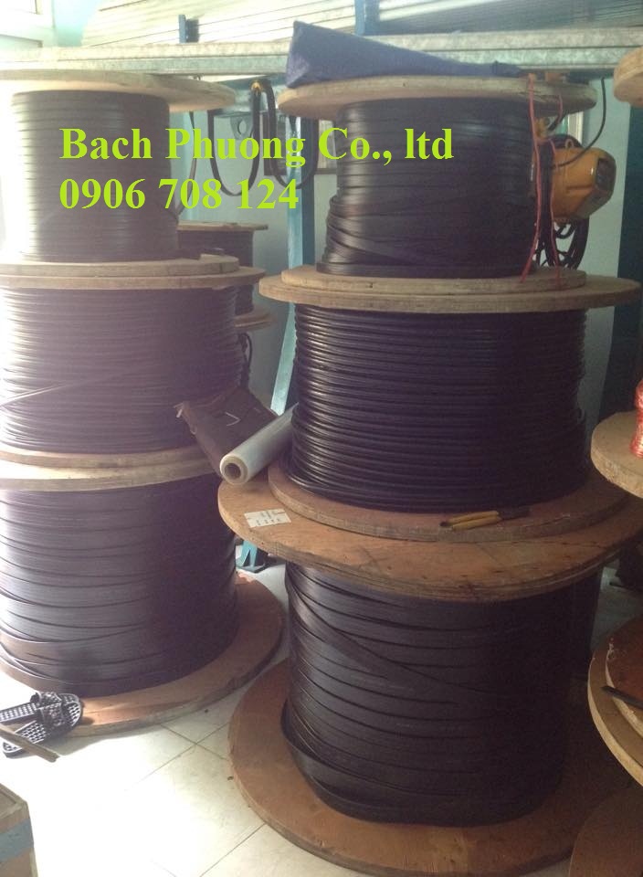 cáp dẹt cầu trục cáp dẹt cầu trục