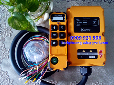 Điều khiển từ xa cầu trục chính hãng Điều khiển từ xa cầu trục chính hãng