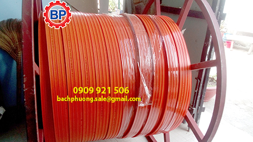 ray-dien-an-cau truc-3P100A-kyec (2) ray-dien-an-cau truc-3P100A-kyec (2)