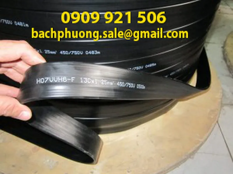 Cáp dẹt các loại cho cầu trục