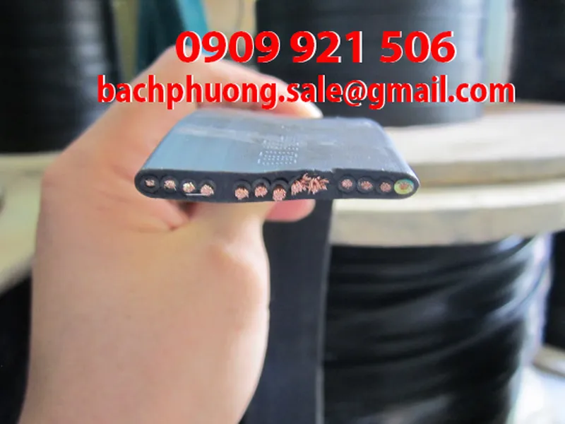 Cáp dẹt các loại cho ray C cầu trục