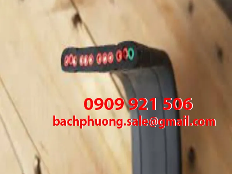 Cáp dẹt cầu trục