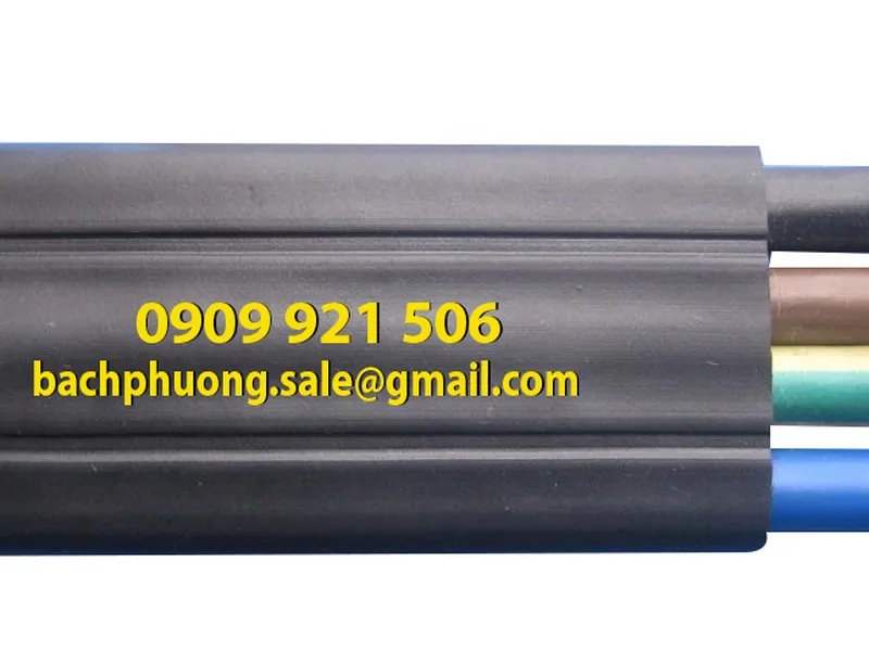 Cáp dẹt ray C cầu trục 4C x 8.0mm