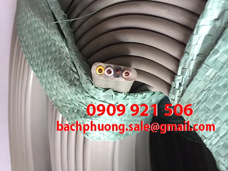 Dây cáp dẹt cầu trục 4Cx2.5mm2