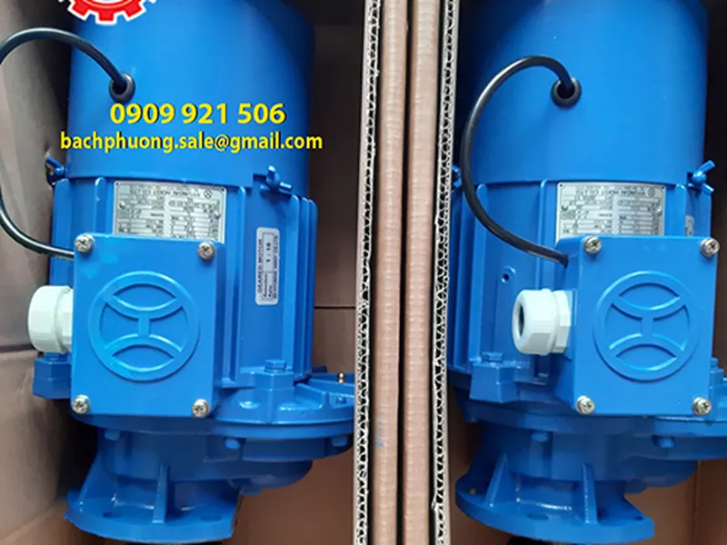 Moto giảm tốc dầm biên Hyungdai