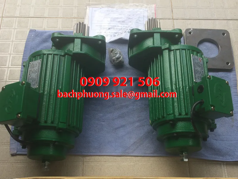 Motor cho dầm biên