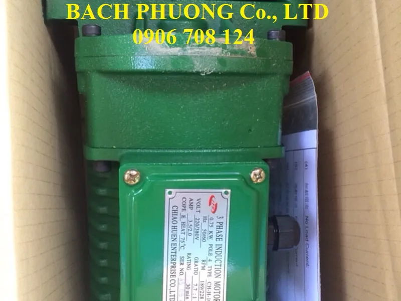 Motor dầm biên sheng yin