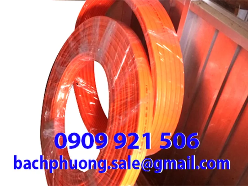 Ray điện 3 pha cho cầu trục