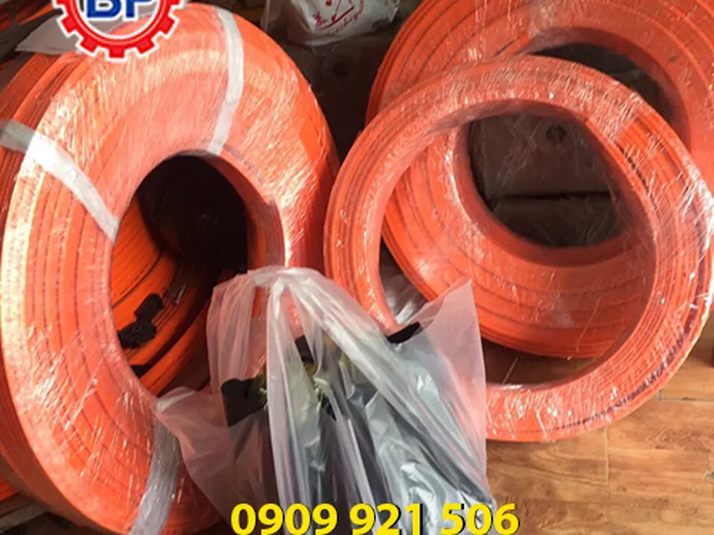 Ray điện 3P75A cho cầu trục