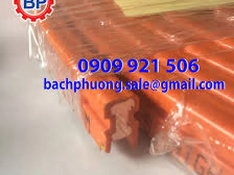 Ray điện an toàn cầu trục 1P200A