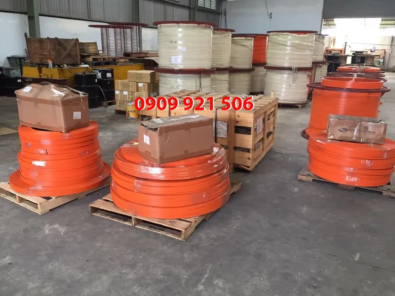 Ray điện an toàn cầu trục 3P75A