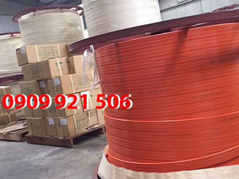 Ray điện an toàn cầu trục Hard work 4P-50A