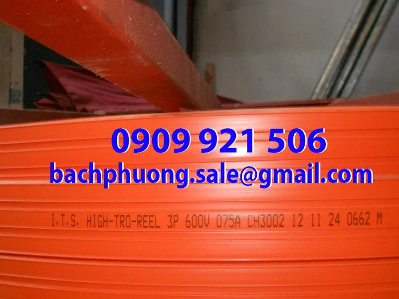 Ray điện an toàn cầu trục Hard work 6P-50A
