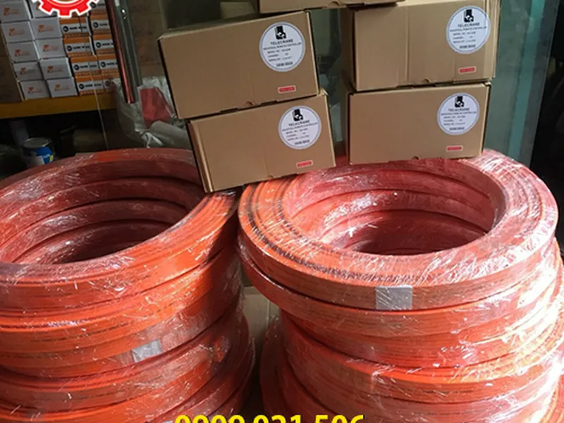 Ray điện an toàn cầu trục - Kyec