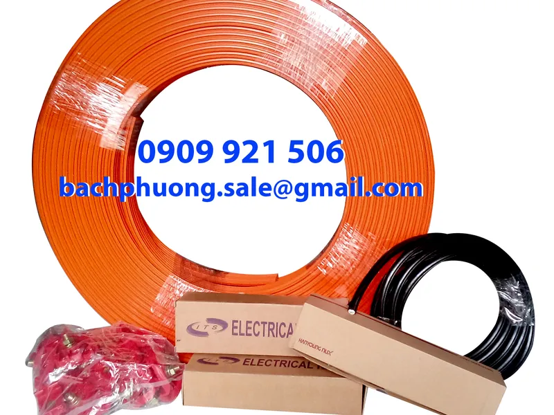Ray điện an toàn cầu trục