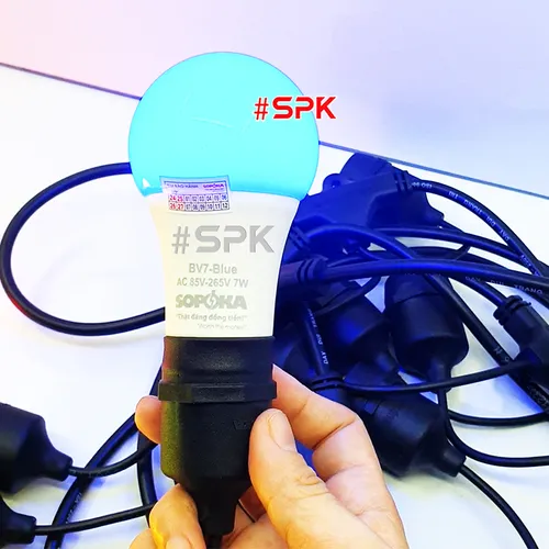 Dây Đui Bóng Đèn Trang Trí 5m 7.5m 10m Loại Thả Màu Đen SOPOKA