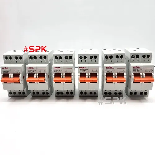 Cầu Dao Gạt Tay 2 Ngã 2P CS2P63A SOPOKA