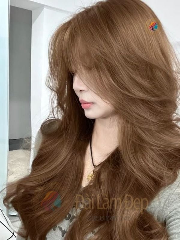 Nhuộm tóc phục hồi tái sinh sợi tóc hư tổn tại Đài Làm Đẹp Nhuộm tóc phục hồi tái sinh sợi tóc hư tổn tại Đài Làm Đẹp